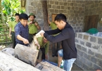 Wild animals illegally traded in Phong Nha-Ke Bang National Park