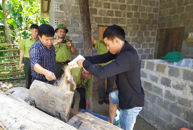 Wild animals illegally traded in Phong Nha-Ke Bang National Park