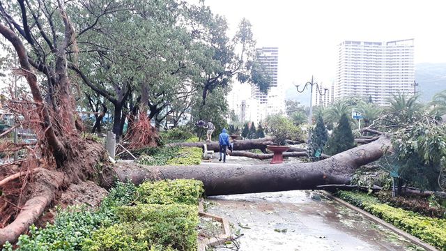 Storm Matmo ravages central Vietnam