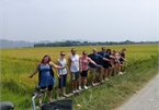 Foreign tourists experience farming life in Trang An