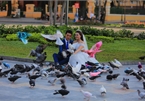 More pigeons living around Saigon's Notre-Dame Cathedral
