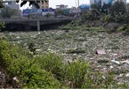 Hanoi river struggling with rubbish