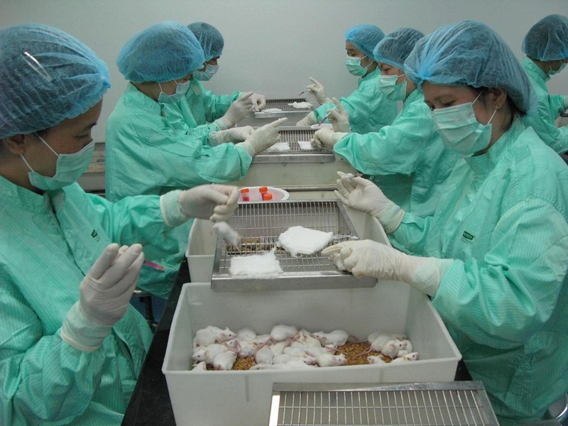 Vietnamese Covid-19 vaccine test on mice shows positive signs
