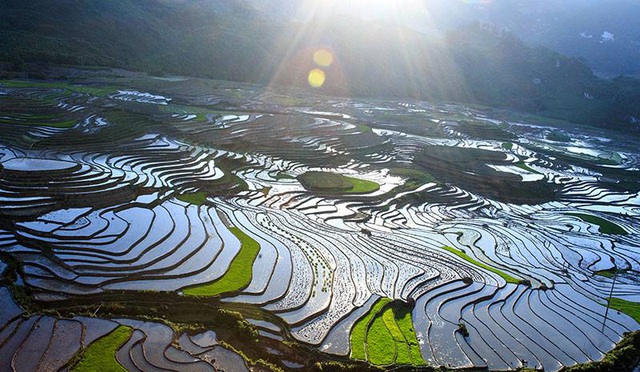 Stunning terraced fields in Sapa