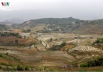 Stunning rice terraced fields in Lai Chau