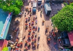 Lychee harvest season in Bac Giang