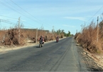 Phu Yen preventive forest ravaged by droughts