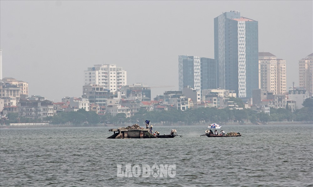 Another fish death hits Hanoi’s largest lake