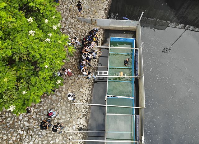 Japanese expert declares Hanoi river water treatment success