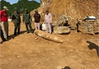 Unexploded 450-kilo bomb unearthed in Quang Binh
