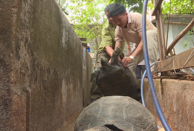 Man prosecuted for keeping large number of rare tortoises