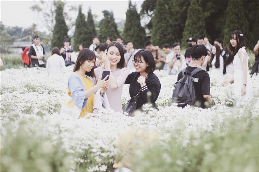 Hanoians flock to daisy garden for photos