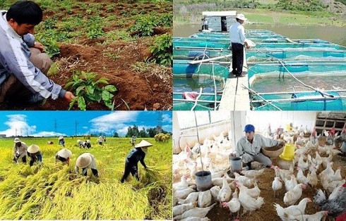Vietnam’s agriculture continues to grow in 2019