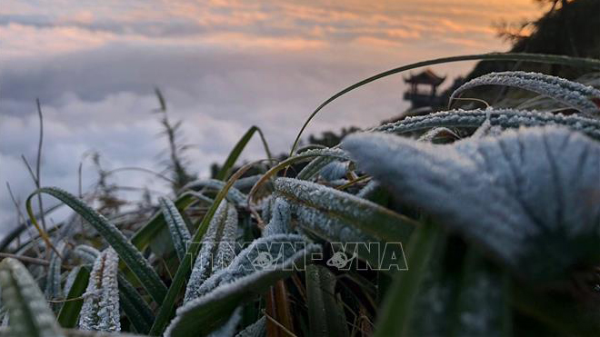 Cold spells predicted for late January