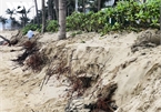 Da Nang beaches continue to face erosion