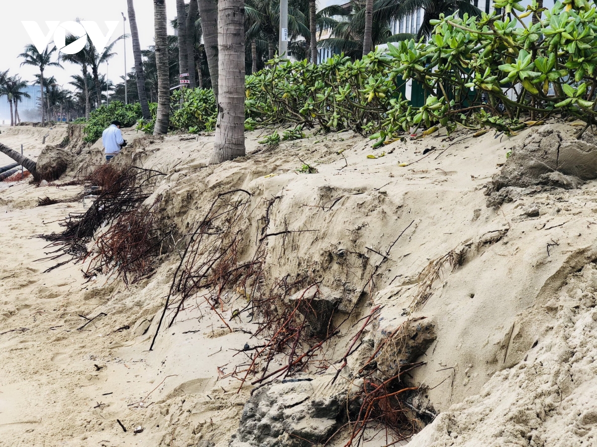 Da Nang beaches continue to face erosion