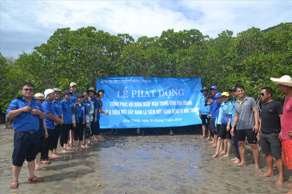 Nha Trang starts mangrove restoration project