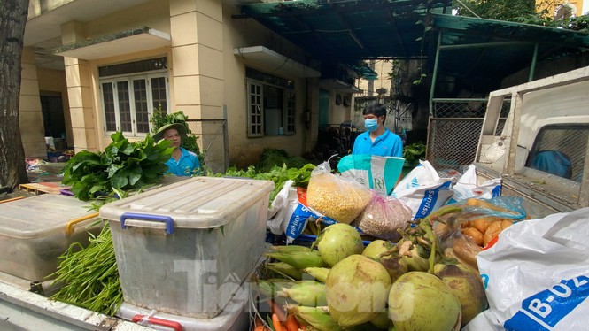 Food donated to save zoo animals in HCM City