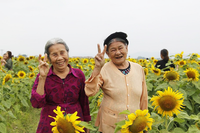 tuoi gia Giadinhonline (3)