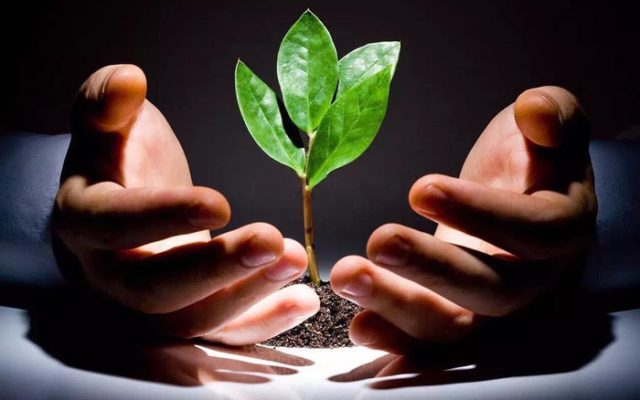 luat nhan qua Giadinhonline (1)