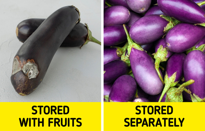 bao quan Giadinhonline (1)