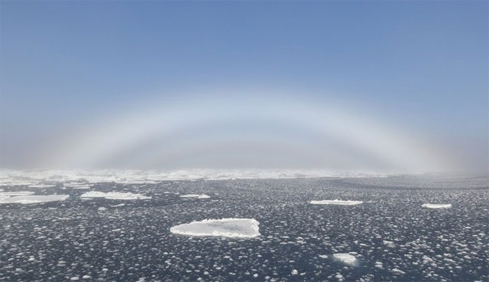 Cầu vồng sương mù trông giống như cầu vồng bạch tạng