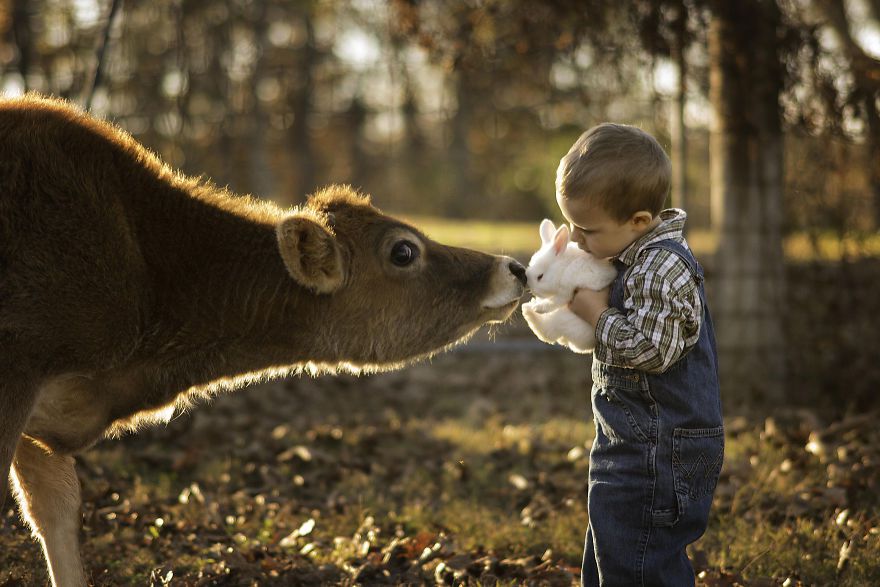 Bộ ảnh tuyệt đẹp về tuổi thơ trên nông trại - 1