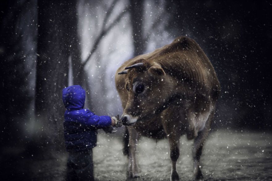 Bộ ảnh tuyệt đẹp về tuổi thơ trên nông trại - 2