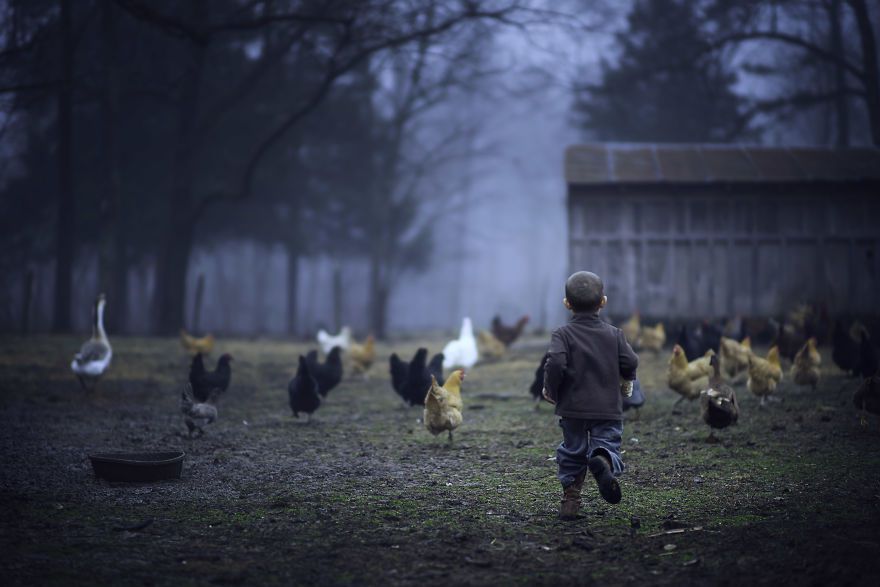 Bộ ảnh tuyệt đẹp về tuổi thơ trên nông trại - 3