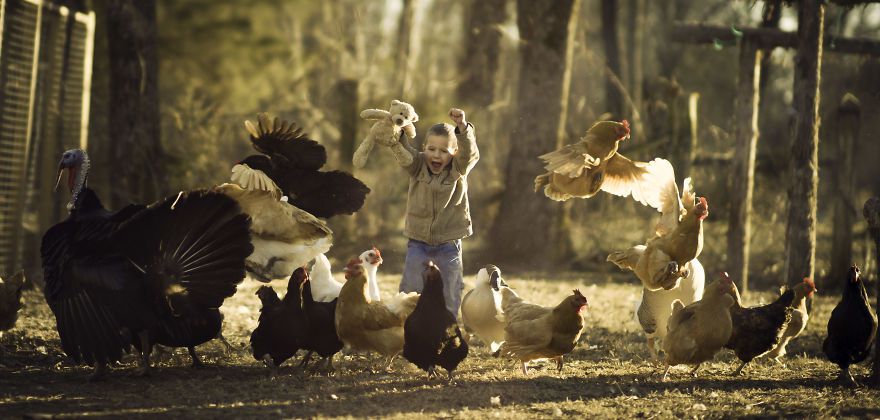 Bộ ảnh tuyệt đẹp về tuổi thơ trên nông trại - 8