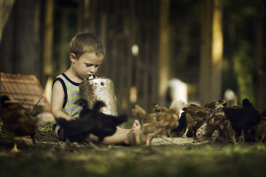 Bộ ảnh tuyệt đẹp về tuổi thơ trên nông trại - 10