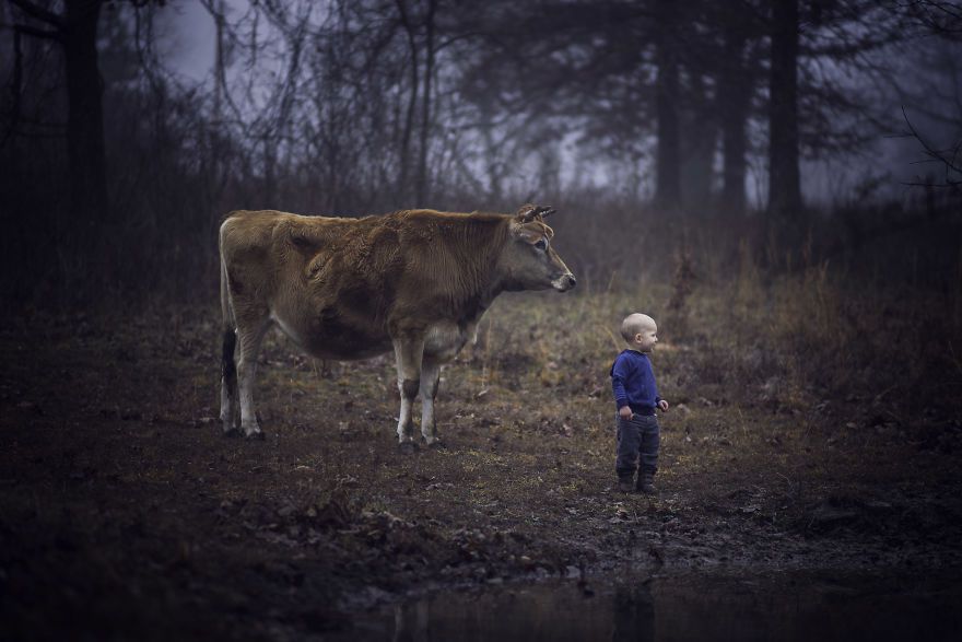Bộ ảnh tuyệt đẹp về tuổi thơ trên nông trại - 15