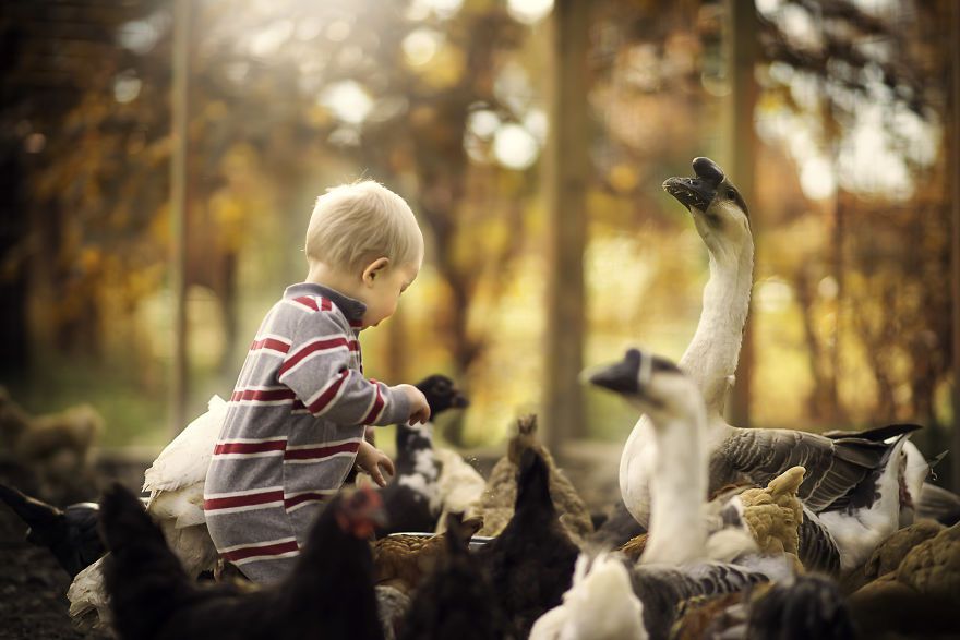 Bộ ảnh tuyệt đẹp về tuổi thơ trên nông trại - 16