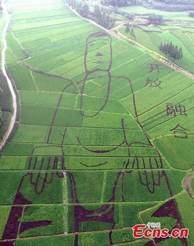 Tượng Phật dài 100m “tạc” trên ruộng bậc thang - 1