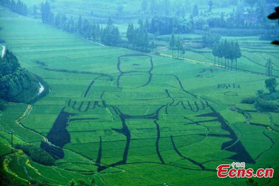 Tượng Phật dài 100m “tạc” trên ruộng bậc thang - 2