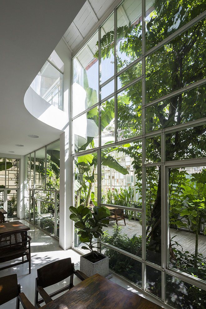 Nhà cũ nát bỗng nguy nga như cung điện trong mơ nhờ kính và cây - 3