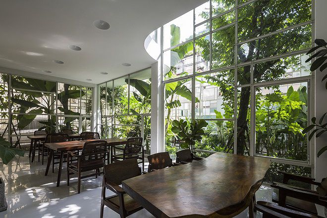 Nhà cũ nát bỗng nguy nga như cung điện trong mơ nhờ kính và cây - 4