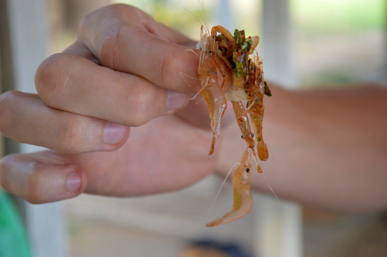 Món đặc sản khoái khẩu nhưng “tàn nhẫn” - 5