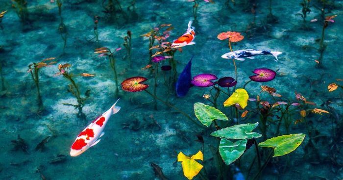 Ao nước đẹp tới mức khó tin có thật ngoài đời thực - 2