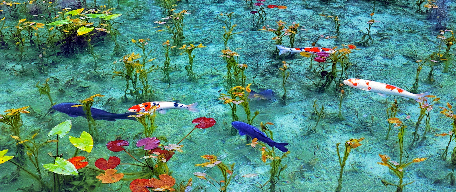 Ao nước đẹp tới mức khó tin có thật ngoài đời thực - 5