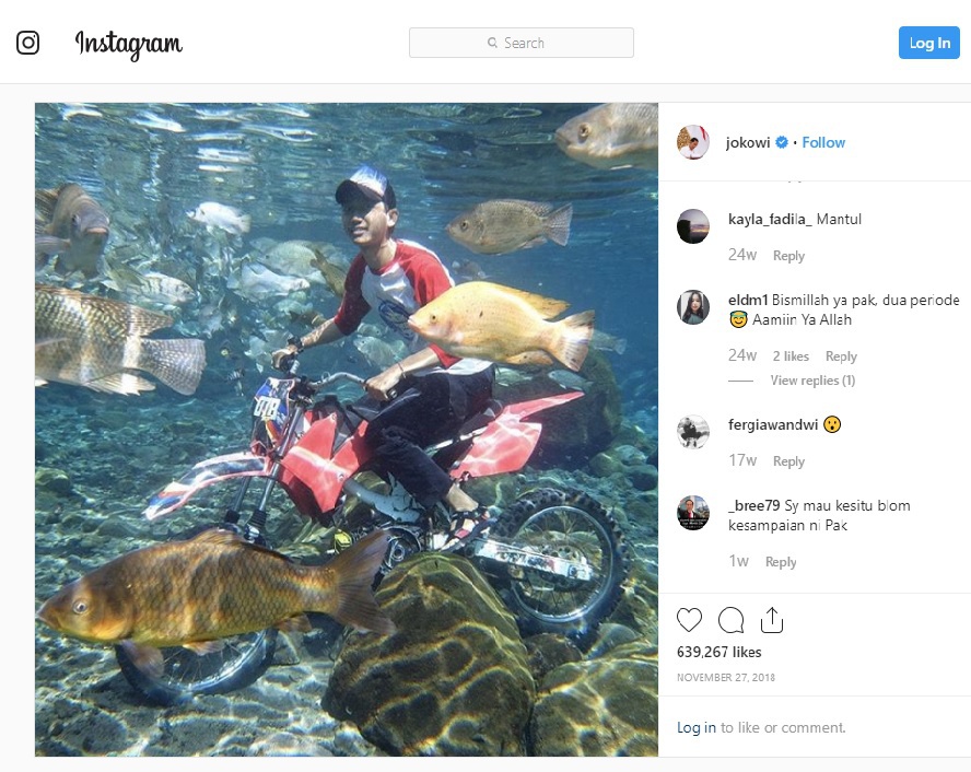 Ảnh chụp dưới nước độc đáo khiến khách nườm nượp kéo đến lặn ao làng ở Indonesia - 2