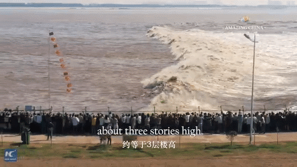 Đổ xô tới xem sóng triều cao bằng tòa nhà 3 tầng - 1