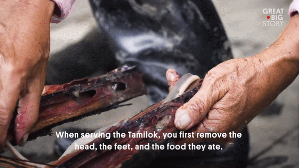 Ăn sống sâu gỗ nhầy nhụa – món đặc sản xếp hạng kinh dị” - 2