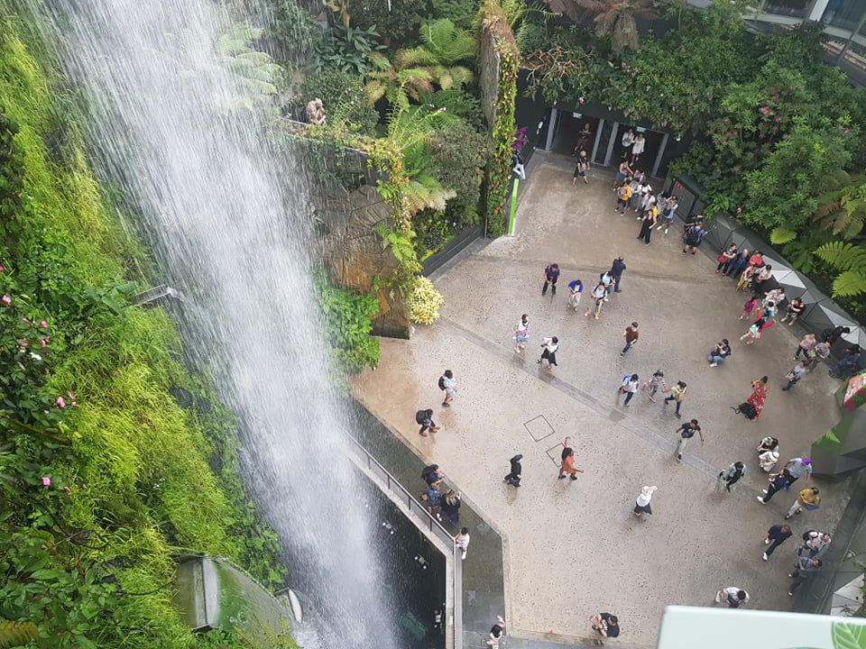 Rừng đám mây Singapore.jpg