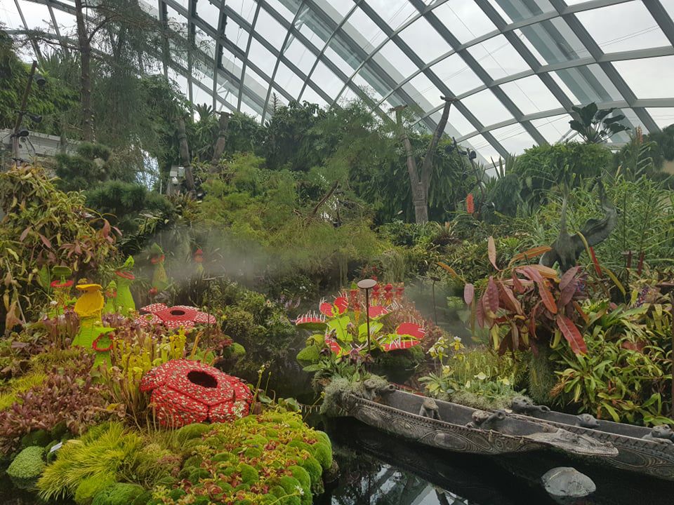 Rừng đám mây Singapore.jpg