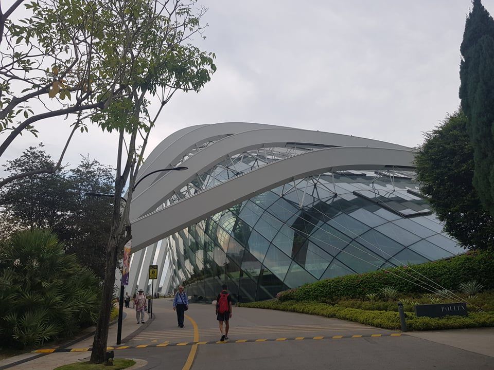 Rừng đám mây Singapore.jpg