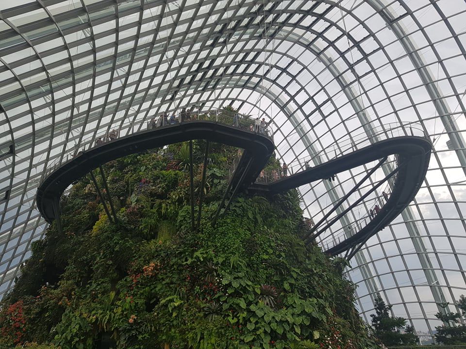 Rừng đám mây Singapore.jpg