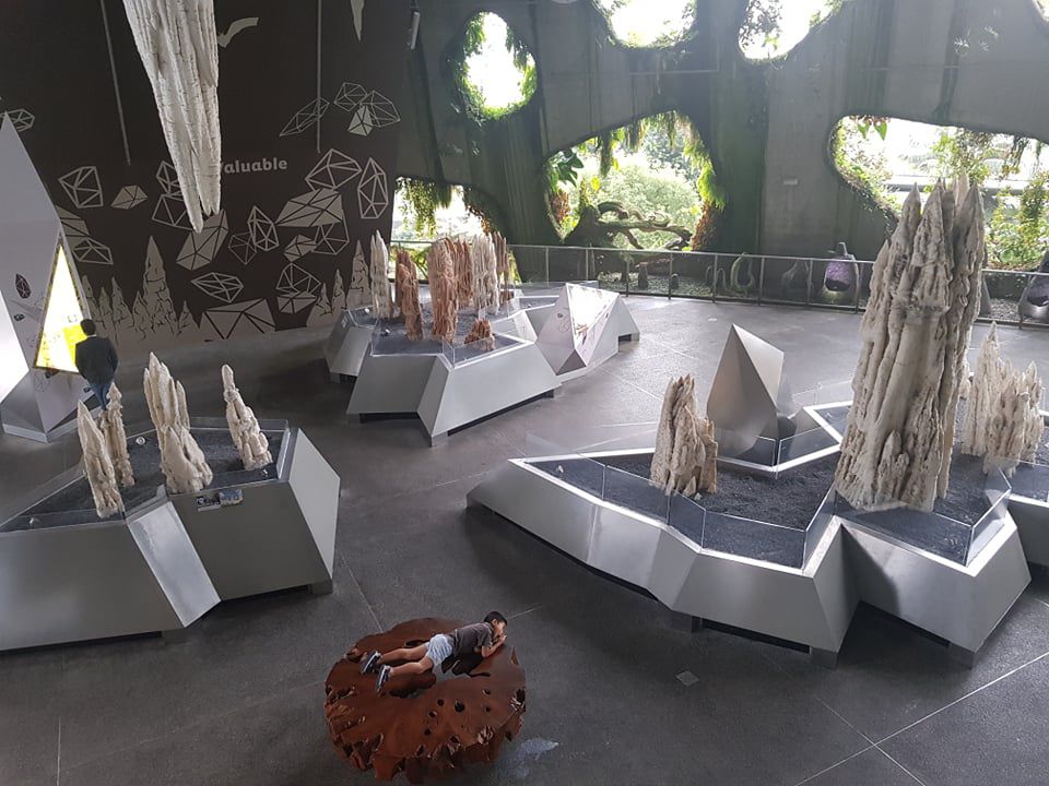 Rừng đám mây Singapore.jpg