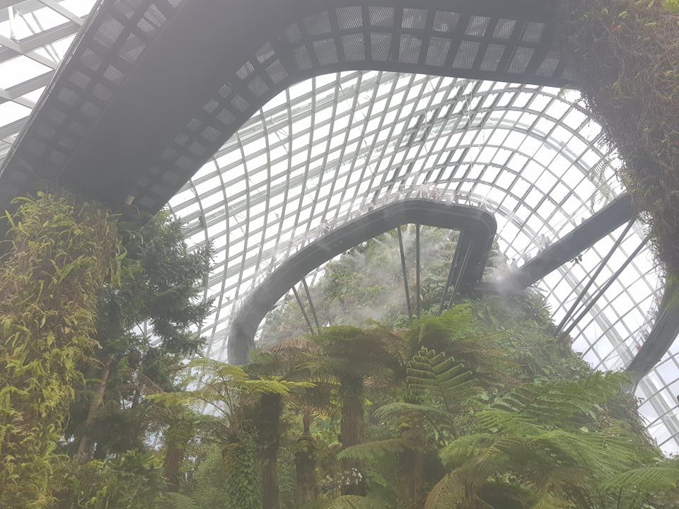 Rừng đám mây Singapore.jpg