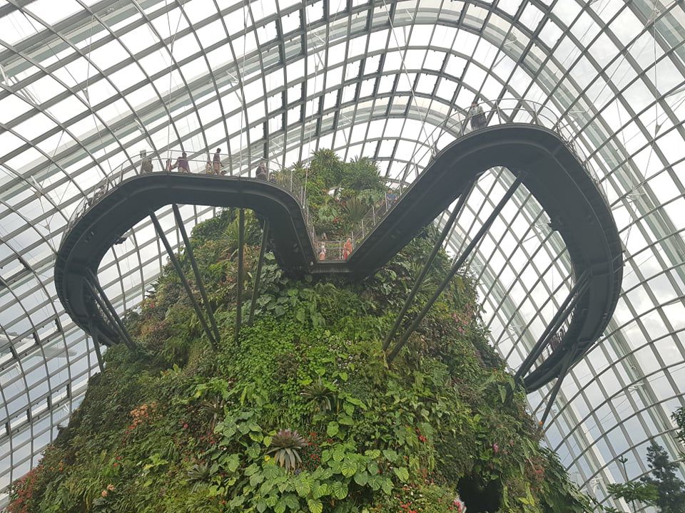 Rừng đám mây Singapore.jpg